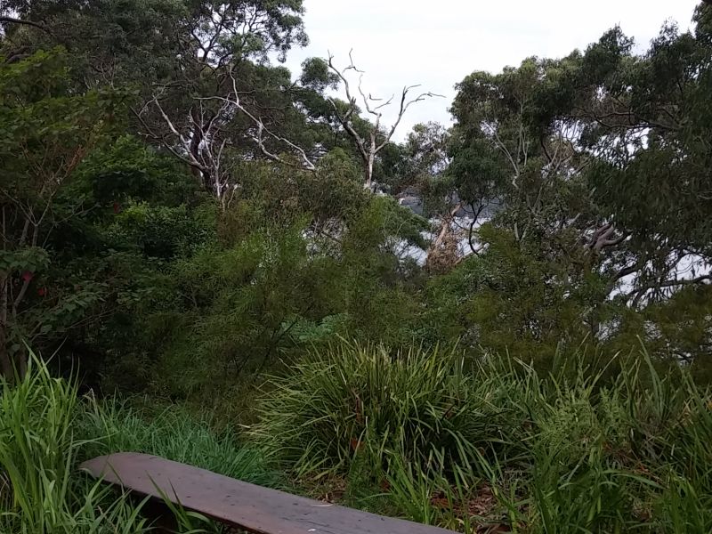 Bush furniture