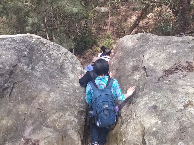 Guided School Holiday Bushwalk   Harold Reid Reserve   6 Oct 2016  (1)