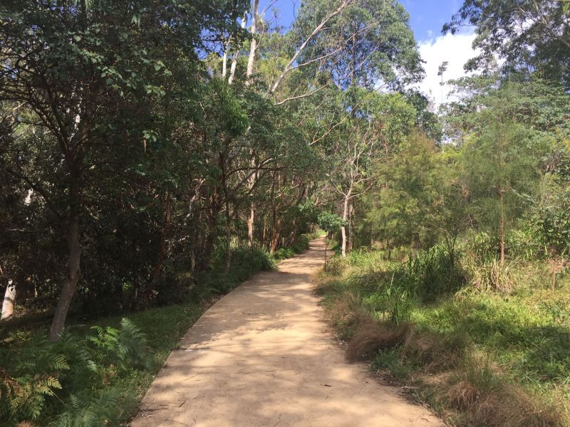 Walking path 