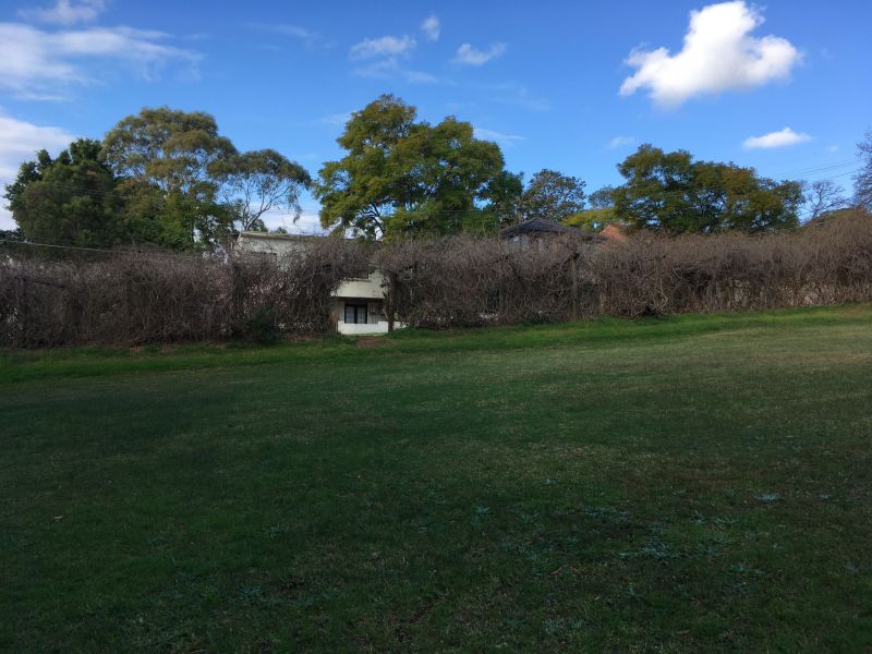 South lawn area facing east