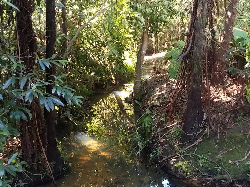 Sailors Bay Creek