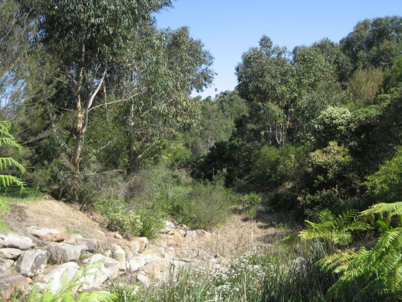 Flatrock Gully Naremburn  Oct 2007 - AFTER