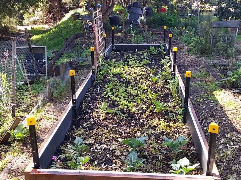 Community Garden