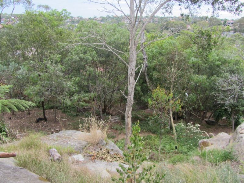 Oriel Reserve