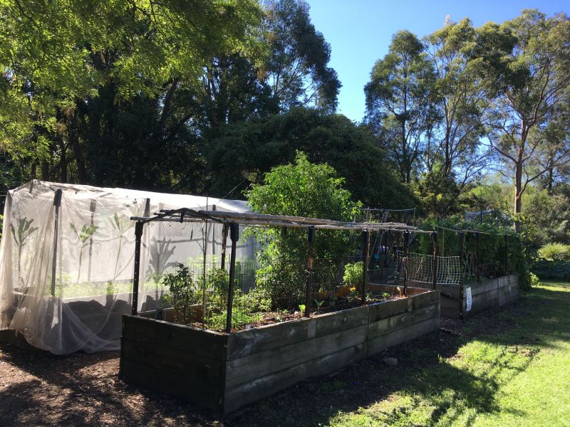 Community Garden 