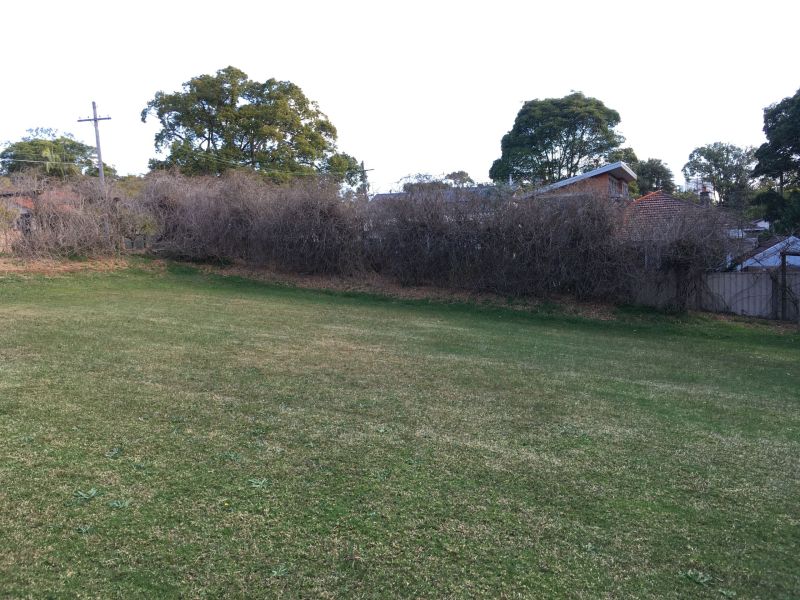 South lawn area facing west
