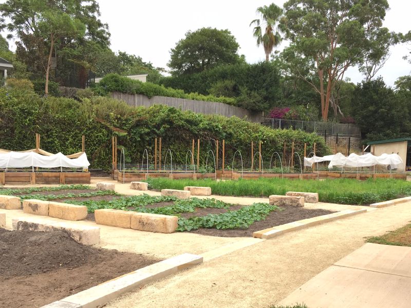 Artarmon Parklands - Community Garden